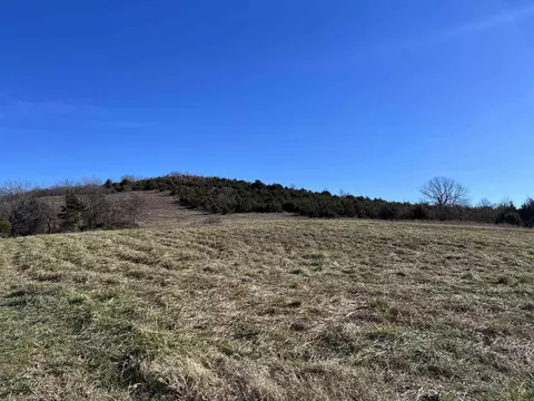 Whitetail Drive, Harrison, AR 72601 photo 5
