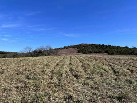 Whitetail Drive, Harrison, AR 72601 photo 8