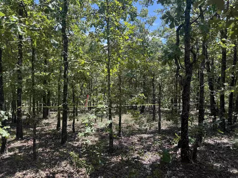 lot4 7 Lakes Ranch Blvd, Conway, AR 72032 photo 3