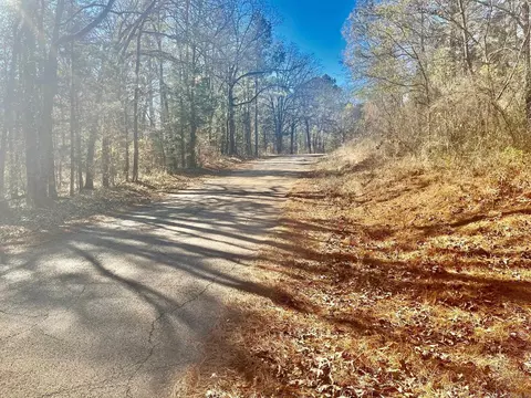 930 Cox Crk, Bismarck, AR 71921 photo 3