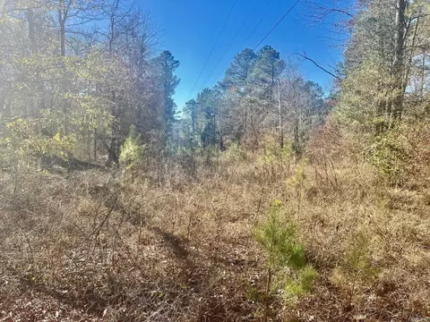 930 Cox Crk, Bismarck, AR 71921 photo 11