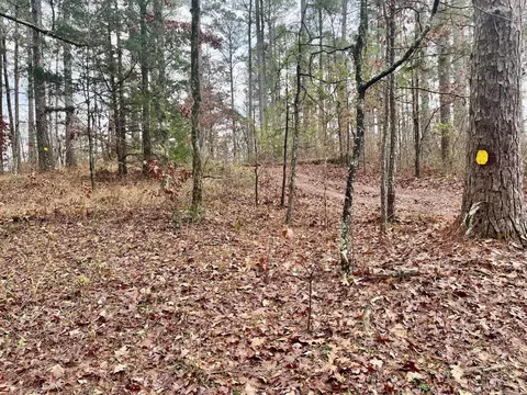 930 Cox Crk, Bismarck, AR 71921 photo 17