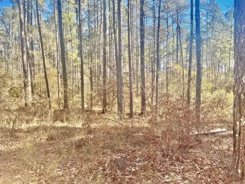 930 Cox Crk, Bismarck, AR 71921 photo 10