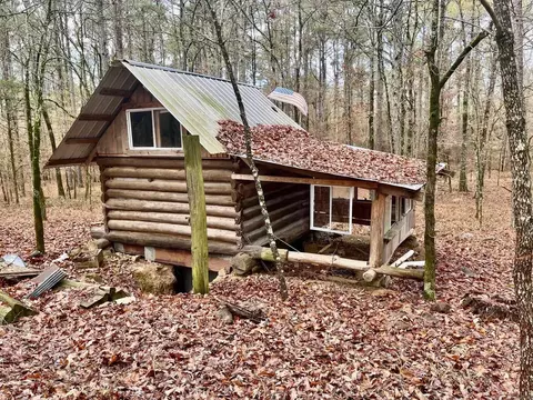 930 Cox Crk, Bismarck, AR 71921 photo 16