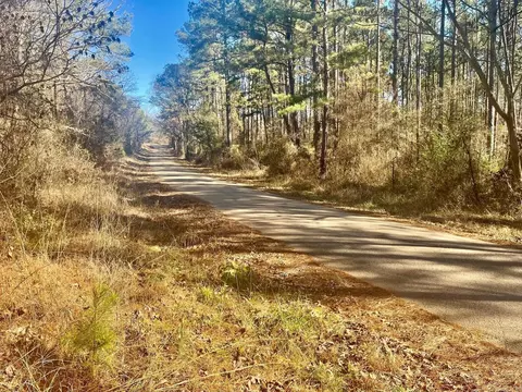 930 Cox Crk, Bismarck, AR 71921 photo 2