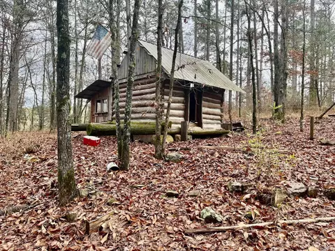 930 Cox Crk, Bismarck, AR 71921 photo 7