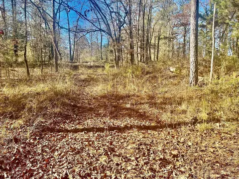 930 Cox Crk, Bismarck, AR 71921 photo 9