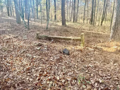 930 Cox Crk, Bismarck, AR 71921 photo 8