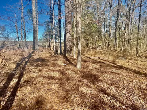 930 Cox Crk, Bismarck, AR 71921 photo 12