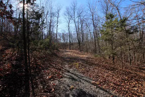 239 Mill Creek Rd, Jerusalem, AR 72030 photo 45