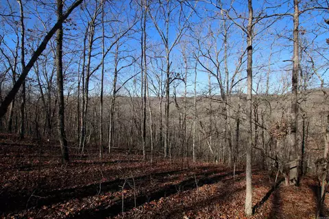 239 Mill Creek Rd, Jerusalem, AR 72030 photo 30