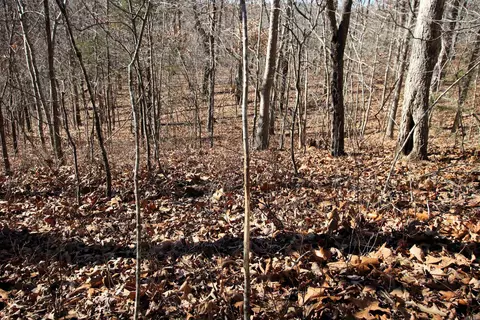239 Mill Creek Rd, Jerusalem, AR 72030 photo 24