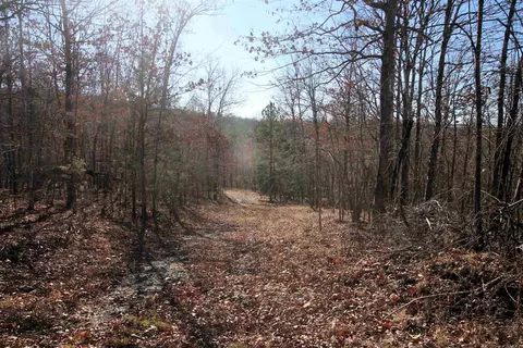 239 Mill Creek Rd, Jerusalem, AR 72030 photo 16