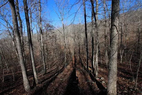 239 Mill Creek Rd, Jerusalem, AR 72030 photo 26