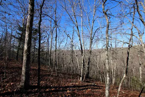239 Mill Creek Rd, Jerusalem, AR 72030 photo 29