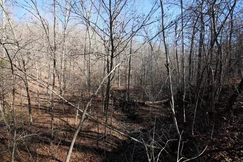239 Mill Creek Rd, Jerusalem, AR 72030 photo 14