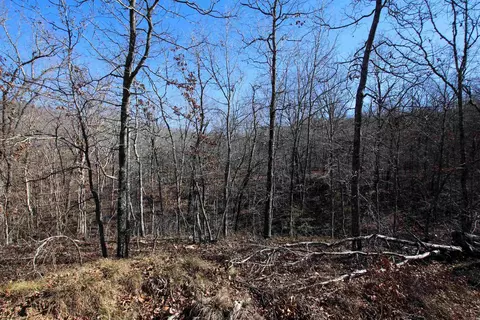 239 Mill Creek Rd, Jerusalem, AR 72030 photo 36