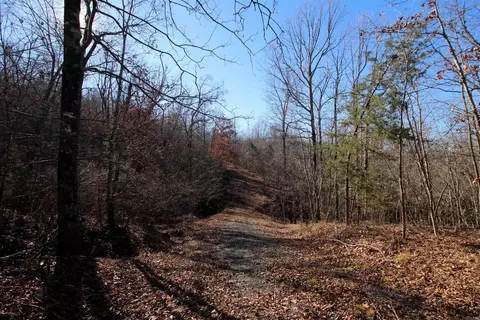239 Mill Creek Rd, Jerusalem, AR 72030 photo 47