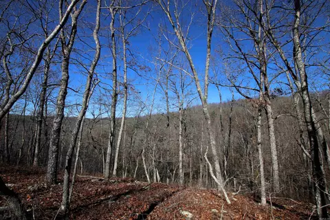 239 Mill Creek Rd, Jerusalem, AR 72030 photo 34