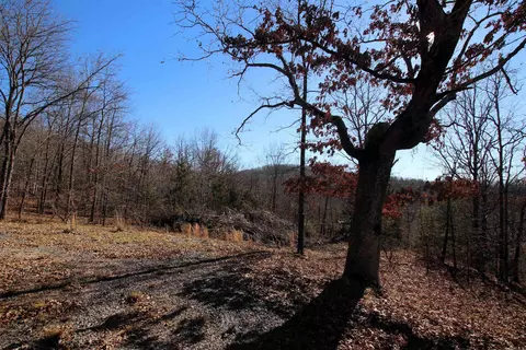 239 Mill Creek Rd, Jerusalem, AR 72030 photo 18