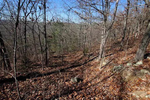 239 Mill Creek Rd, Jerusalem, AR 72030 photo 21