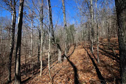 239 Mill Creek Rd, Jerusalem, AR 72030 photo 23
