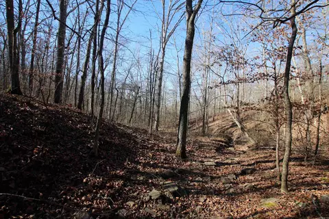 239 Mill Creek Rd, Jerusalem, AR 72030 photo 11