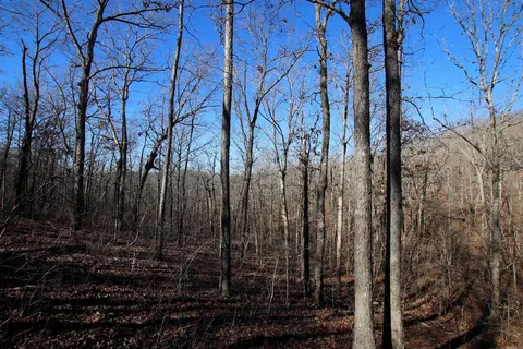 239 Mill Creek Rd, Jerusalem, AR 72030 photo 25