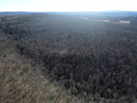 239 Mill Creek Rd, Jerusalem, AR 72030 photo 3