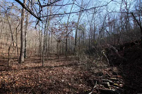 239 Mill Creek Rd, Jerusalem, AR 72030 photo 13