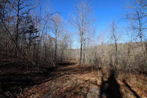 239 Mill Creek Rd, Jerusalem, AR 72030 photo 39