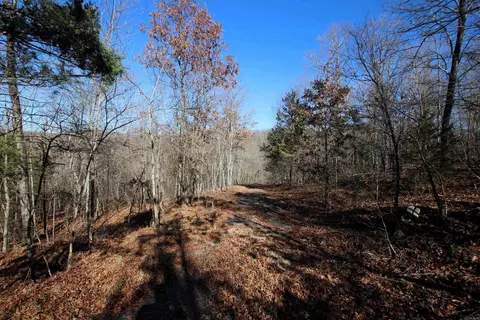 239 Mill Creek Rd, Jerusalem, AR 72030 photo 44