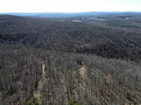 239 Mill Creek Rd, Jerusalem, AR 72030 photo 49