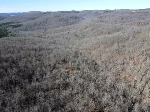 239 Mill Creek Rd, Jerusalem, AR 72030 photo 9