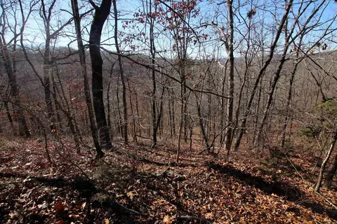 239 Mill Creek Rd, Jerusalem, AR 72030 photo 22