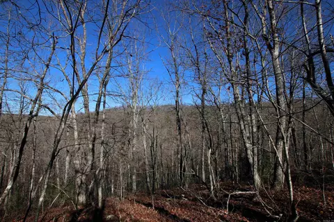 239 Mill Creek Rd, Jerusalem, AR 72030 photo 28