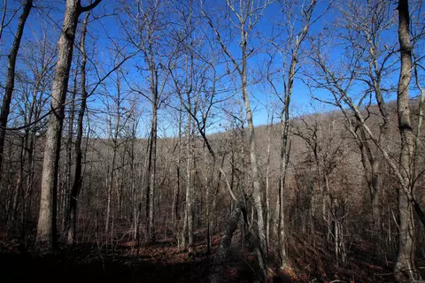 239 Mill Creek Rd, Jerusalem, AR 72030 photo 27