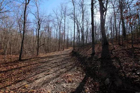 239 Mill Creek Rd, Jerusalem, AR 72030 photo 40