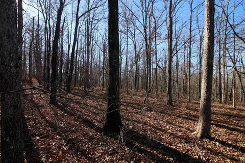 239 Mill Creek Rd, Jerusalem, AR 72030 photo 31