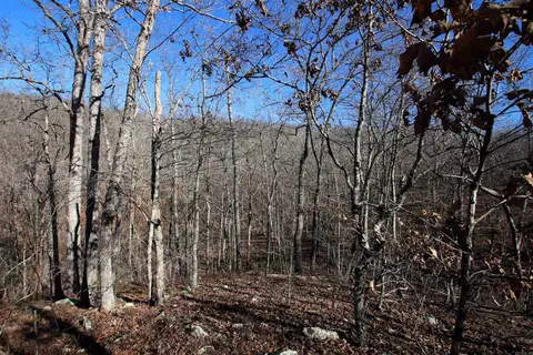 239 Mill Creek Rd, Jerusalem, AR 72030 photo 35
