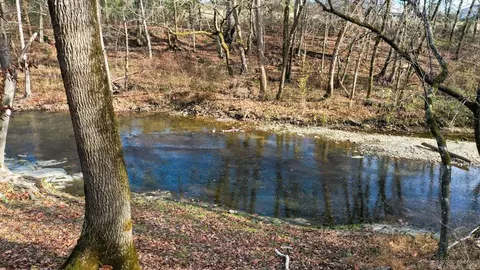 View/Area - 70 Three Pines Ln, Norman, AR 71960 photo 4 of 14