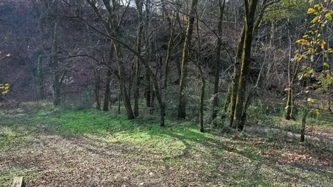 Exterior - 70 Three Pines Ln, Norman, AR 71960 photo 3 of 15