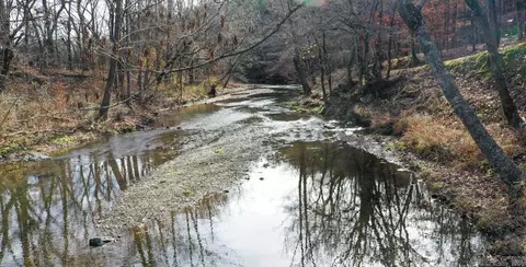 View/Area - 70 Three Pines Ln, Norman, AR 71960 photo 11 of 14