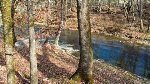 View/Area - 70 Three Pines Ln, Norman, AR 71960 photo 3 of 14