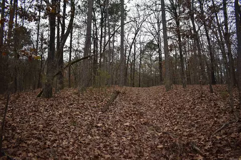 0000 Old Creek Rd, Scranton, AR 72863 photo 21