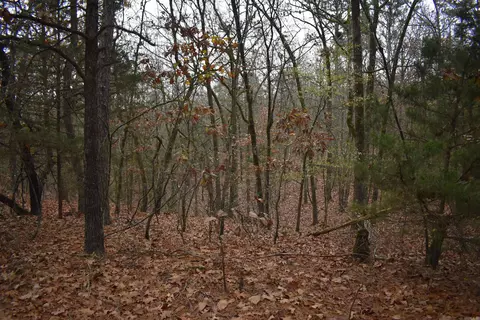 0000 Old Creek Rd, Scranton, AR 72863 photo 24