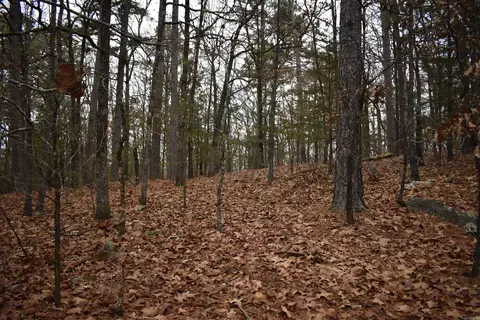 0000 Old Creek Rd, Scranton, AR 72863 photo 29