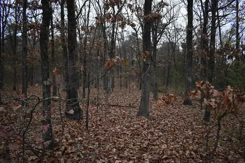 0000 Old Creek Rd, Scranton, AR 72863 photo 40
