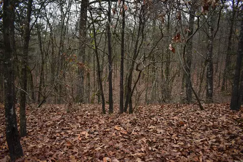 0000 Old Creek Rd, Scranton, AR 72863 photo 23