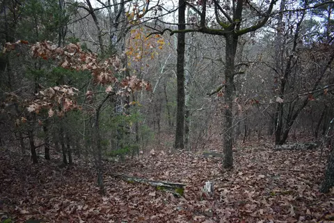 0000 Old Creek Rd, Scranton, AR 72863 photo 33